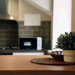 Фото Отель ЭКОStudio (Студио)