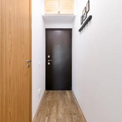 1-комнатные апартаменты студия