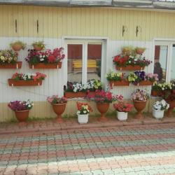 Фото Отель Восход