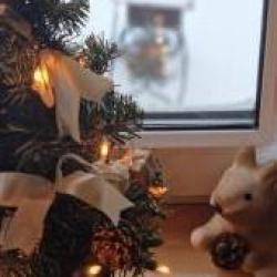 3-комнатный коттедж улучшенный