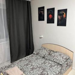 Фото Апартаменты на улице Чкалова 33