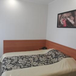 Номер полулюкс с 1 двуспальной кроватью #3