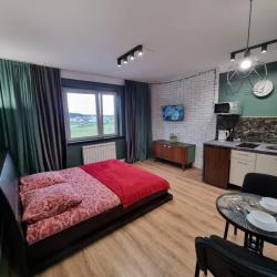 Фото Апартаменты на улице Курыжова 16