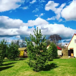 Фото Отель Дункан