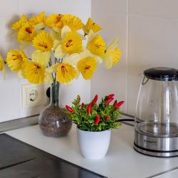 1-комнатные апартаменты улучшенные Бронируйте! Гармония и комфорт, Санкт-Петербург, Мурино, Привокзальная пл., д.1а, к2