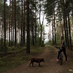Фото Отель Берег Грифона