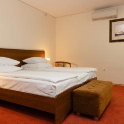 Номер люкс с видом на реку