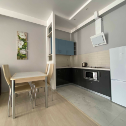 Апартаменты стандарт г. Сочи, ул. Крымская 89, кв. 342.