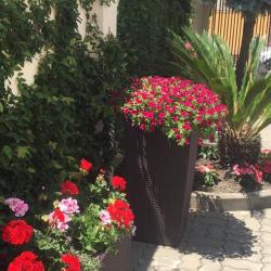 Фото Отель Palma park (Пальма Парк)