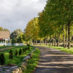 Фото Отель Прибрежный Ярбург