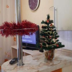 Фото Апартаменты на проспекте Ленина 52А