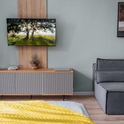 4-местные 1-комнатные апартаменты студия