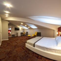 2-местный номер комфорт с 1 двуспальной кроватью (мансарда)