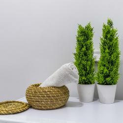 1-комнатные апартаменты студия