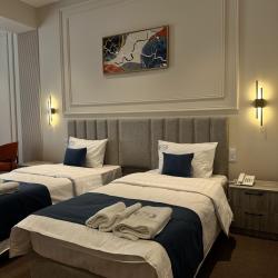 Фото Отель Emily Grand Palace (Эмили Гранд Палас)