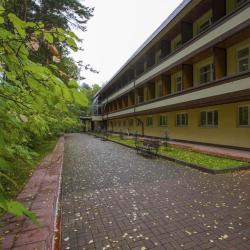 Фото Отель Лесной