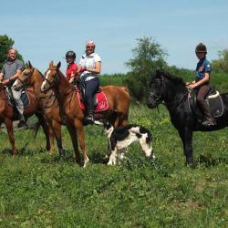 Фото Отель Любимая Усадьба