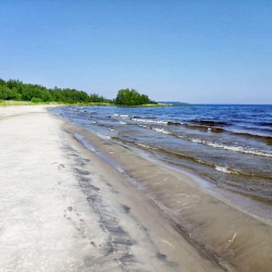 Фото Отель Гостевой комплекс Сосны