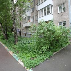 Номер студия стандарт