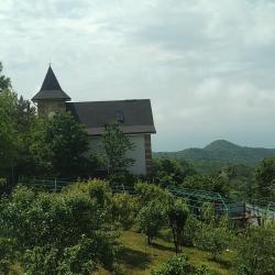 Фото Отель Дома в лесу