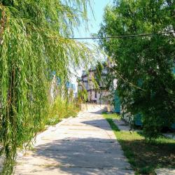 Фото Отель Ладога