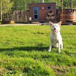 Фото Отель Вуд Плейс