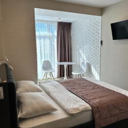 Комната студия с 1 двуспальной кроватью Дизайн Слоновая кость с видом на парк