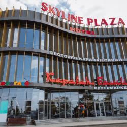 Фото Отель Skyline Plaza (Скайлайн Плаза)