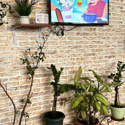 Фото Отель Прибрежный