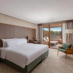 Номер люкс с 1 двуспальной кроватью и террасой