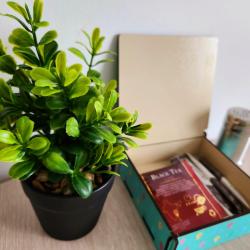 Фото Отель Runway Apartments на улице Южнодомодедовская 17