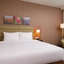 Hilton Garden Inn Orenburg (Хилтон Гарден Инн Оренбург) — 2e93d1479d334839b303cf3207b123f8