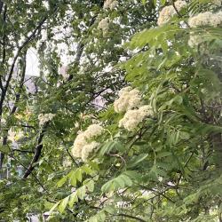 Фото Апартаменты на улице Лесная 6