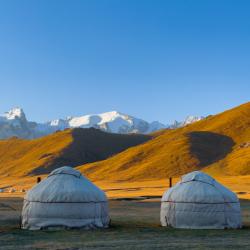 Фото Отель Yurt camp Visit Kol-Suu (Юрточный лагерь Визит Кель-Суу)