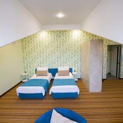 Номер полулюкс (мансарда)