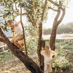 Фото Отель А-Шалаш Черноречье