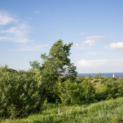 Фото Отель Гостевой дом Дизайнера