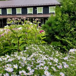 Фото Отель Гостевой комплекс Сосны