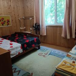 Фото Отель Камень Льва