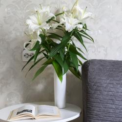 фото 25 Rental (РенталСПб) на улице Белградская