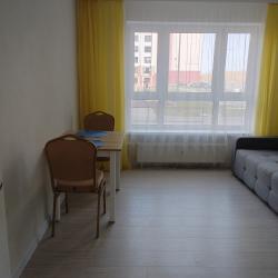 Фото Апартаменты на улице Большая Московская 132 к2
