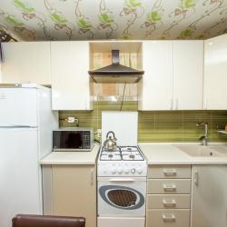 Фото Aday Apartments (Эдэй Апартаменты) на улице Радищева 86