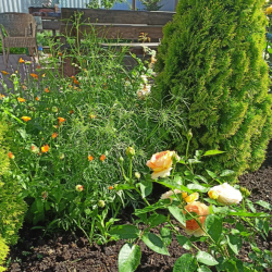 Фото Отель На Береговой