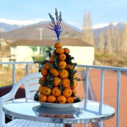 Фото Отель Гостевой дом Петрович