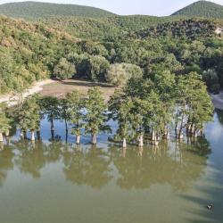 Фото Отель Villa Scandi (Вилла Сканди)