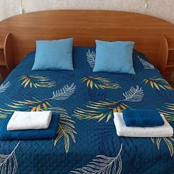 4-местный номер улучшенный семейный с 1 двуспальной кроватью