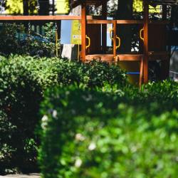 Фото Парк-отель Московский