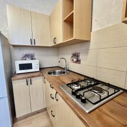 Фото Апартаменты на проспекте Ленина 44