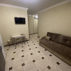 2-местные 1-комнатные апартаменты стандарт №7