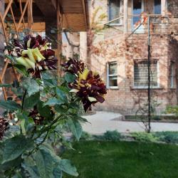 Фото Отель Пан Азиат